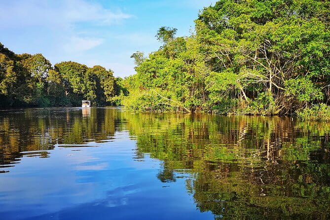 Bongawan River Cruise Proboscis Monkey, SkyMirror, Fireflies - Fireflies After Dark: How to Get the Best Show
