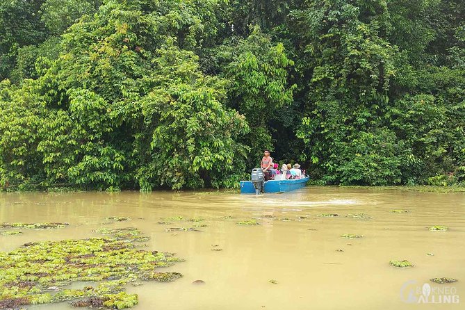 Borneo Kinabatangan River Cruise Day Trip - Comfort tips for a long day: timing, heat, water, and your camera plan