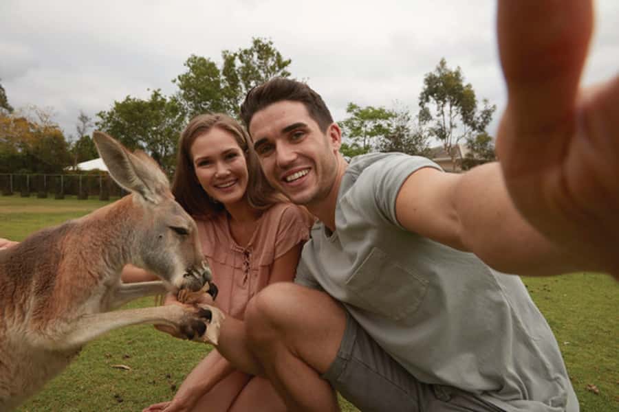Brisbane River Cruise and Koala Sanctuary Visit - Getting to the Cultural Centre Pontoon: the easy start you’ll be glad for