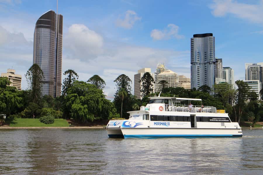 Brisbane River Cruise and Koala Sanctuary Visit - Feeding kangaroos and wallabies: the hands-on moment that makes it worth it