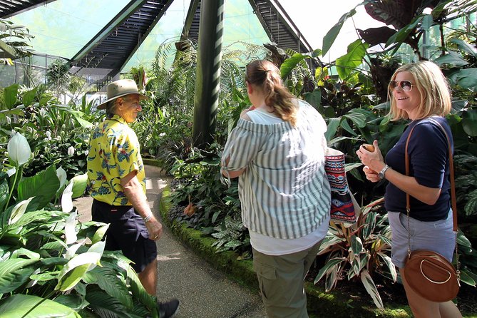 Cairns Combo: Cairns River Cruise & Small group Cairns City Sights - Price and value: what $163.53 buys you in a full 7.5-hour day