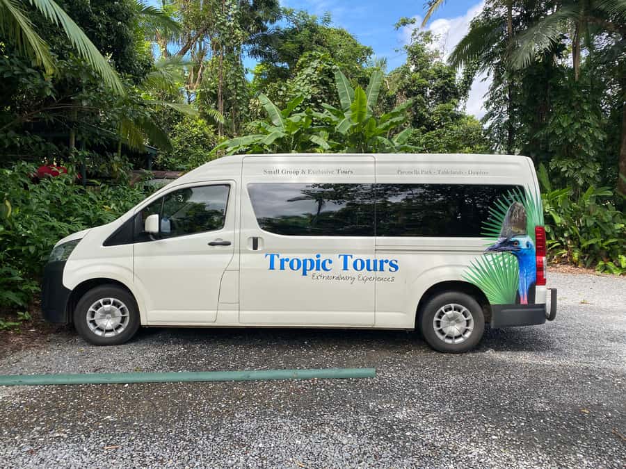 Cairns: Daintree River Cruise and Mossman Gorge - Key things to love about this Cairns and Daintree combo