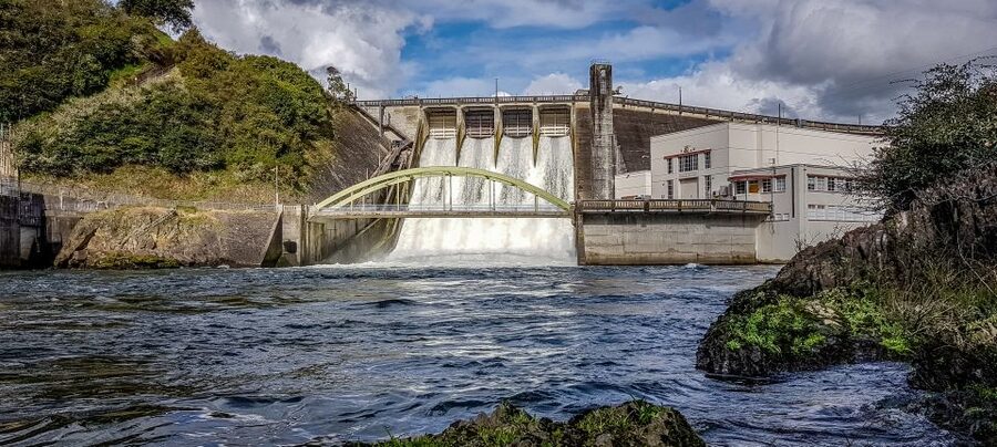 Cambridge, Matamata, Waitomo: 1-Hour Ecological River Cruise - Names you might hear on the mic: what the guide style feels like