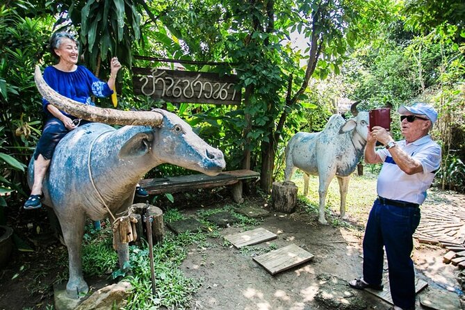 Chiang Mai Mae Ping River Cruise and Thai Farmer House Visit - Who this fits best in real life
