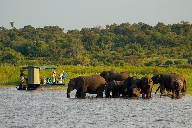 Chobe National Park 4X4 Day Safari and River Cruise - Key things to know before you go