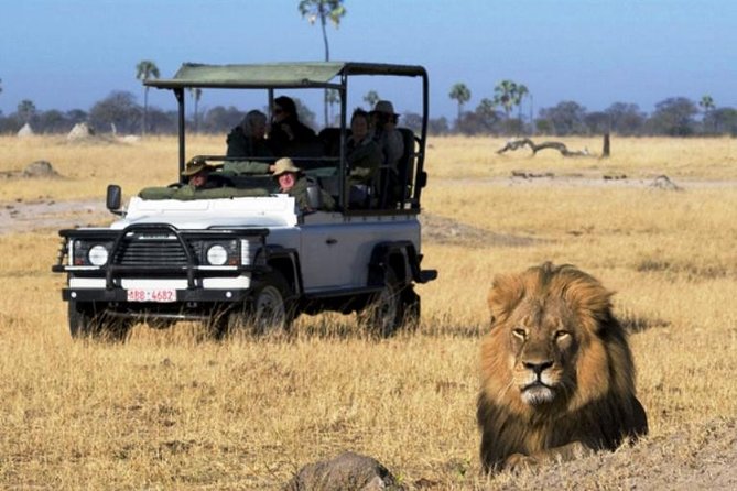 Chobe National Park 4X4 Day Safari and River Cruise - Chobe in a Single Day: 4x4 Safari Meets Chobe River