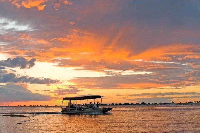 Chobe National Park 4X4 Day Safari and River Cruise - The Afternoon Open 4x4 Game Drive: Big animals and real bush viewing