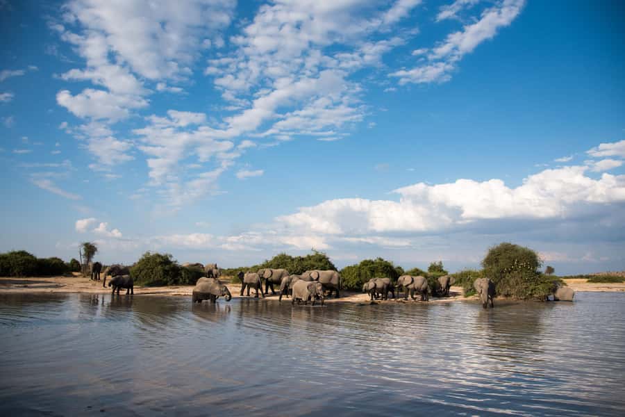 Chobe National Park: Day Trip, Safari drive & River Cruise - Kasane Lunch Break: Good Food, Shared Spaces, Quick Reset
