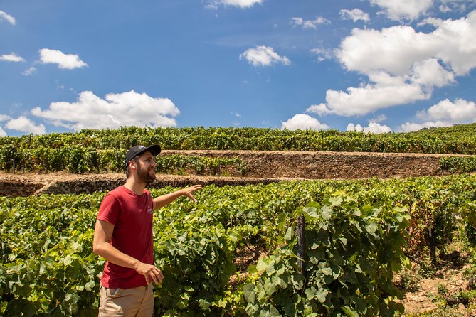 Complete Douro Valley Wine Tour with Lunch, Wine Tastings and River Cruise - Key highlights at a glance
