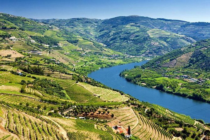 Complete Douro Valley Wine Tour with Lunch, Wine Tastings and River Cruise - Sabrosa Winery + Lunch: Where the Day Gets Real