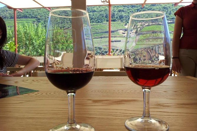 Complete Douro Valley Wine Tour with Lunch, Wine Tastings and River Cruise - Estrada Nacional 222: The Scenic Road Moment on the Way Back