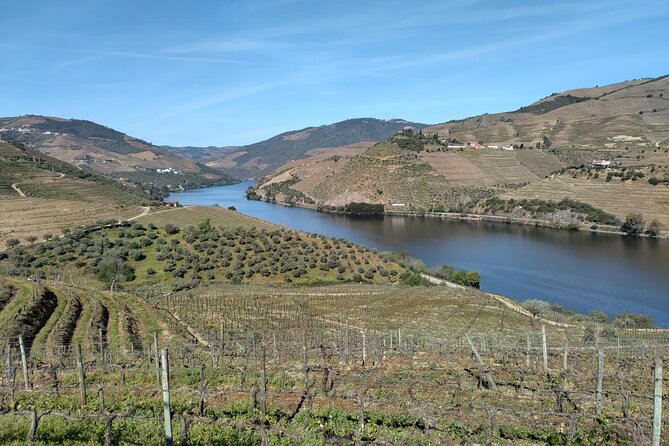 Complete Private Douro Valley Wine Tour - Stop 1: Pinhão Boat Ride With Port Wine (and a Chance to Exhale)