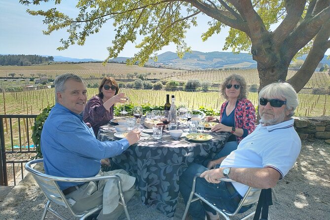 Complete Private Douro Valley Wine Tour - Timing and Comfort: A Full Day Without Feeling Like Chaos