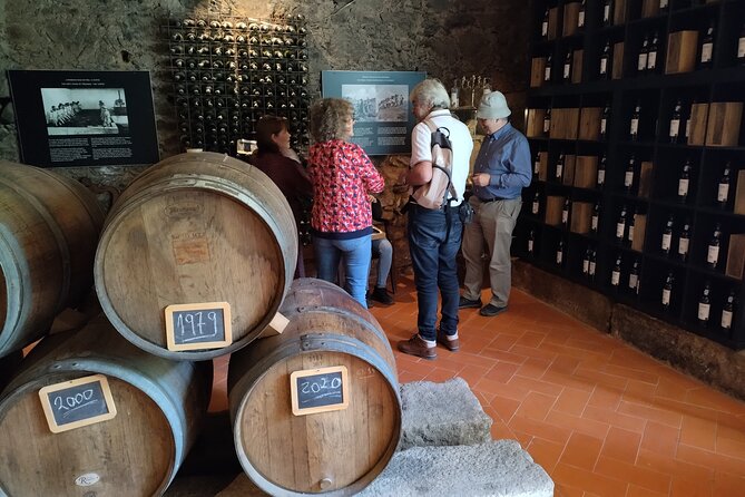 Complete Private Douro Valley Wine Tour - Getting Started in Porto: The 8:30 Departure and Cruise-Friendly Return