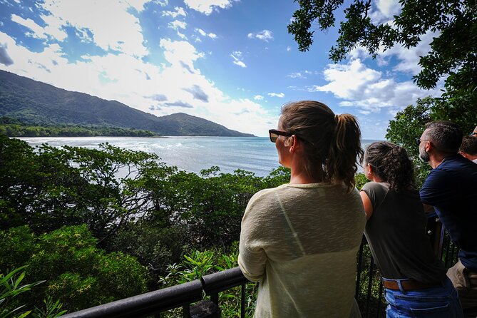 Daintree, Cape Tribulation & River Cruise from Port Douglas - Key Things I’d Watch for on This Tour