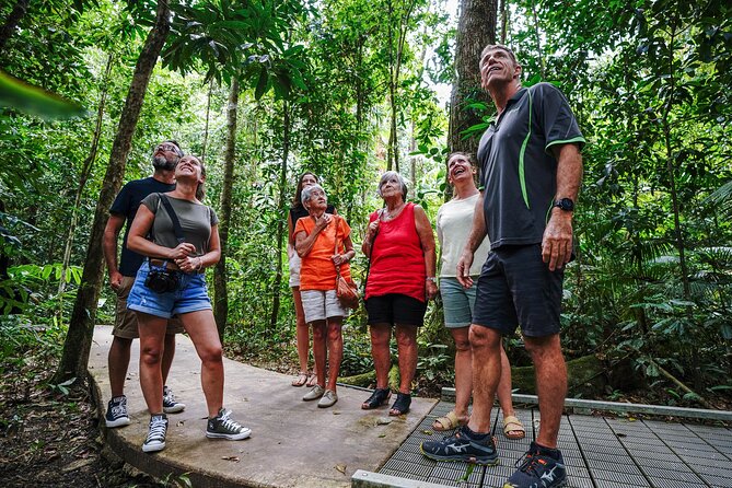 Daintree, Cape Tribulation & River Cruise from Port Douglas - A 10-hour Daintree Day Built for Key Stops (Not Endless Driving)