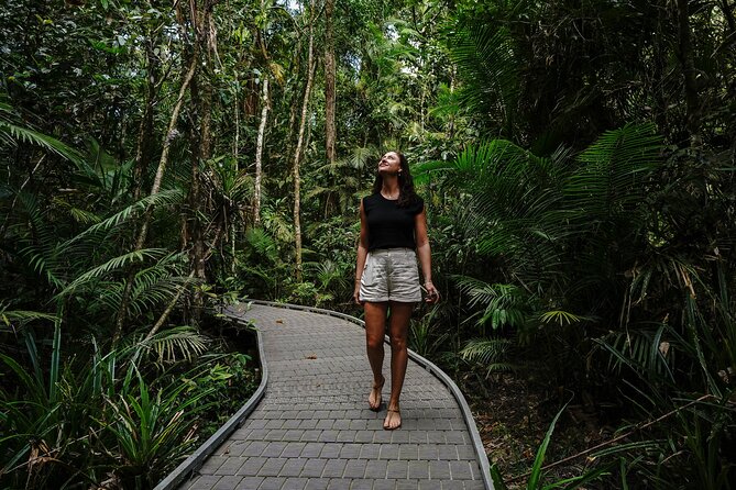 Daintree, Cape Tribulation & River Cruise from Port Douglas - Cooper Creek Swim Time: A Cool Reset Between Big Views