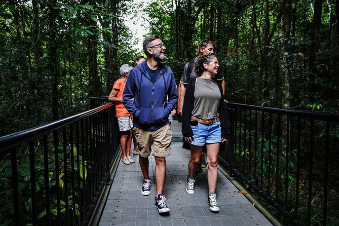 Daintree, Cape Tribulation & River Cruise from Port Douglas - Cape Tribulation: Where the Rainforest Meets the Reef