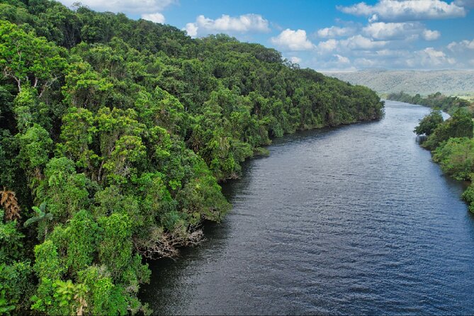 Daintree River Cruise - Wildlife spotting: crocs, birds, and what to look for