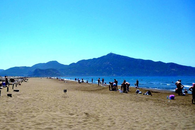 Dalyan Day Trip from Bodrum to Dalyan River Cruise, Iztuzu Beach with Mud Baths - Should you book this Dalyan day trip?
