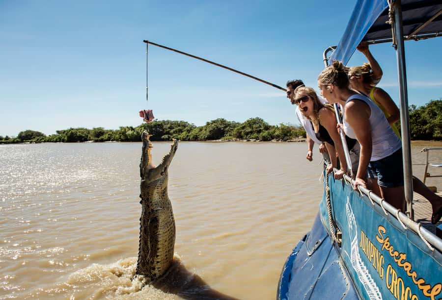 Darwin: Jumping Crocodile River Cruise with Shuttle Bus - Crocodile Jumps From the Adelaide River: What You’re Actually Seeing