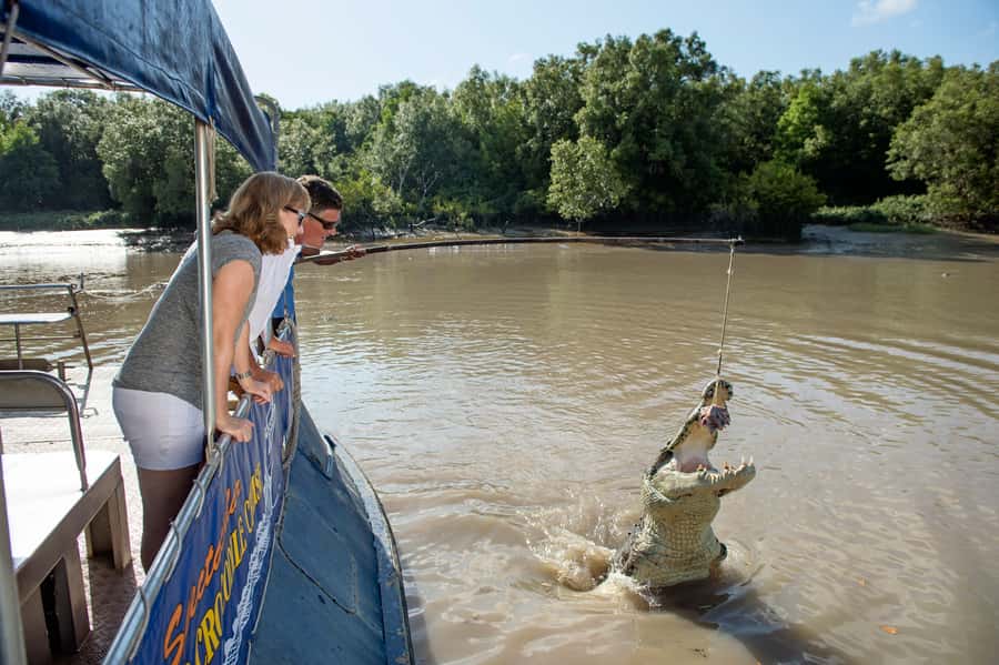 Darwin: Jumping Crocodile River Cruise with Shuttle Bus - Safety, Permits, and the No-Glass Setup: Why This Matters