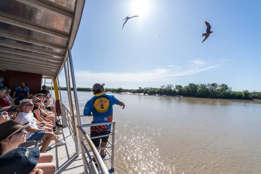 Darwin: Spectacular Jumping Crocodile Adelaide River Cruise - Other wildlife beyond the splash zone