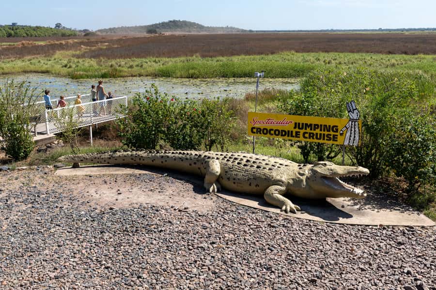 Darwin: Spectacular Jumping Crocodile Adelaide River Cruise - What to bring, what not to bring, and smart photo prep