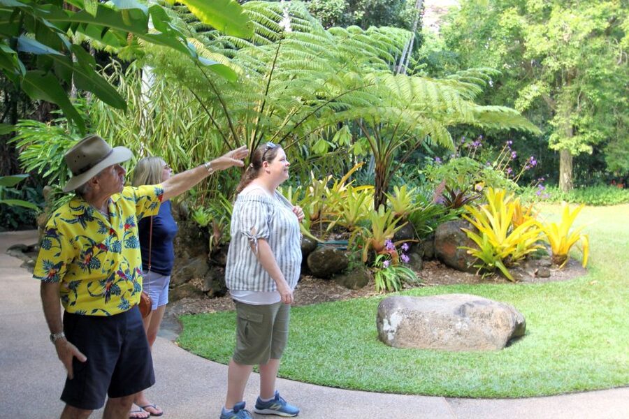 Discover Cairns: Cairns River Cruise & City Sights Tour - St Monica’s Cathedral: 24 stained-glass windows and a story