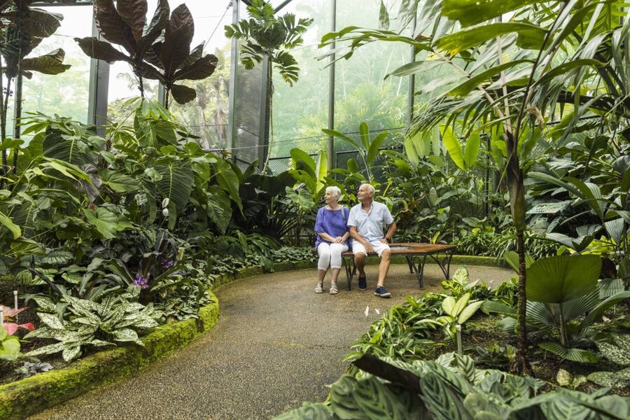 Discover Cairns: Cairns River Cruise & City Sights Tour - Cairns Botanic Gardens and Devonshire tea in Edge Hill