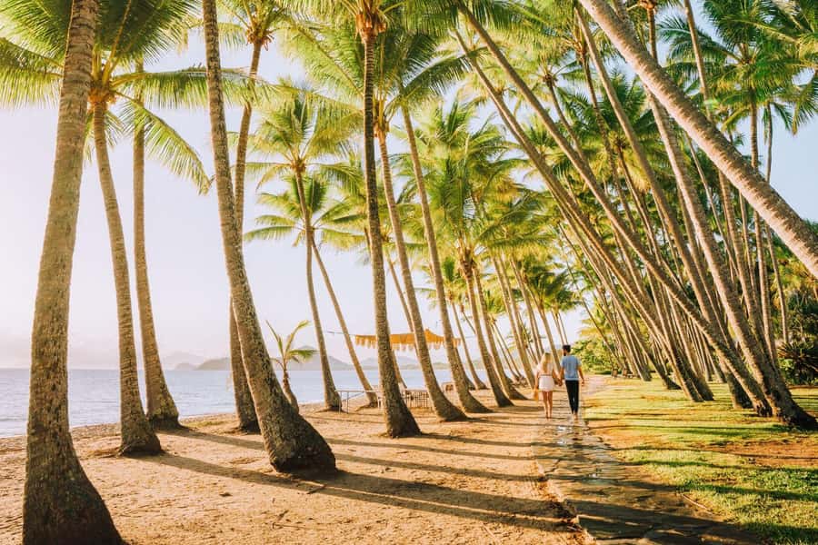Discover Cairns: Cairns River Cruise & City Sights Tour - Tour pace, group size, and practical logistics