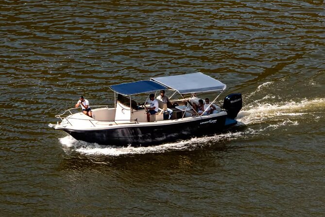 Douro River Cruise from Pinhão with Scenic Train Return - The cruise start: Terraced vineyards and “watch-the-river” pacing