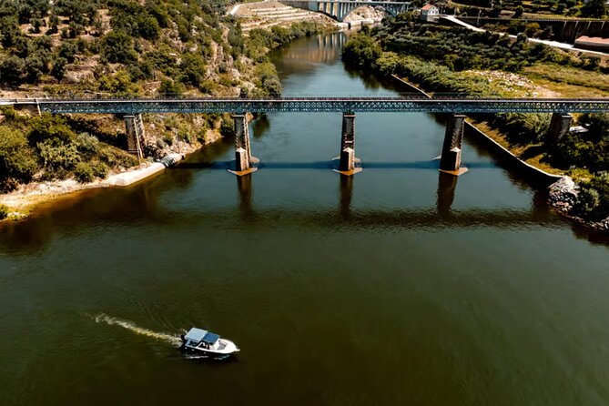 Douro River Cruise from Pinhão with Scenic Train Return - Scenic train return: a short ride with big scenery value