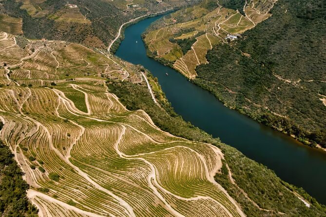 Douro River Cruise from Pinhão with Scenic Train Return - Logistics that matter: meeting point, timing, and how to not miss the start