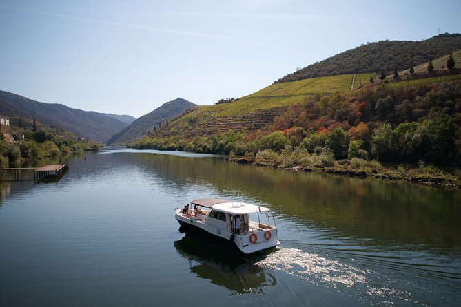 Douro River Cruise - Private River Cruise - Pinhão 1 Hour - A Private Hour on the Douro, Built for Relaxing
