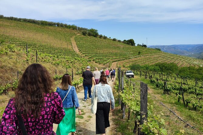 Douro Tour with Wine Tasting, River Cruise and Visit to Lamego - Meet at Igreja da Lapa and Get Ready for the Long But Manageable Schedule