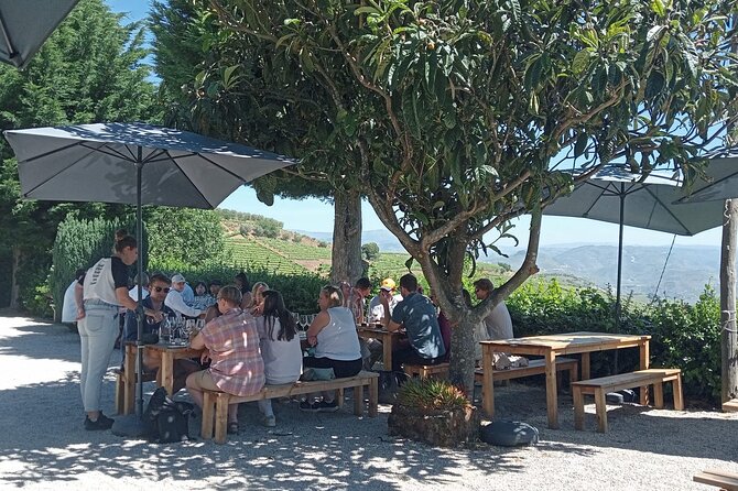 Douro Tour with Wine Tasting, River Cruise and Visit to Lamego - Lamego Vineyard Visit: Family-Owned Tastings and Real Wine Context