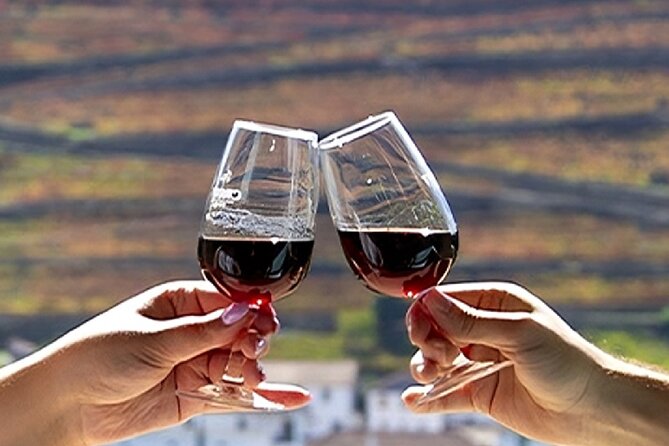 Douro Valley Full Day Tour with River Cruise and Wine Tastings - Porto to the Douro: what this day trip is really like