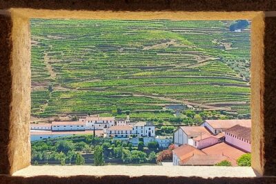 Douro Valley Full Day Tour with River Cruise and Wine Tastings - The drive that sets up the views (National Road 222 + a coffee pause)
