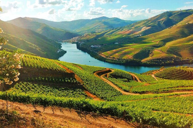 Douro Valley - Relaxed Departure from Porto - Key points to know before you go