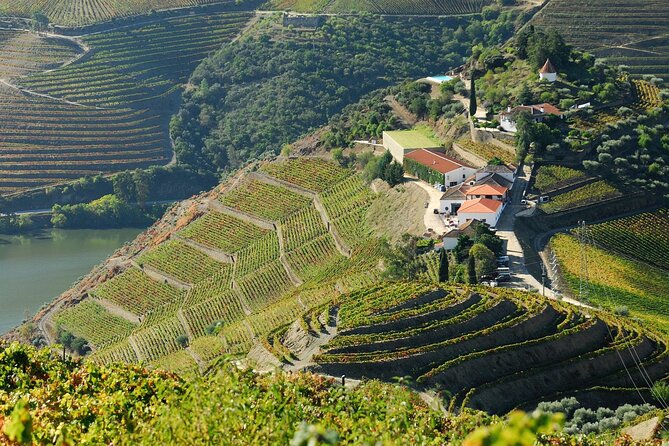 Douro Valley - Relaxed Departure from Porto - Lunch by the river: a real break, not just a pause