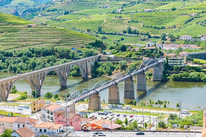Douro Valley - Relaxed Departure from Porto - Quinta de São Luís: wine tasting in a classic Douro setting