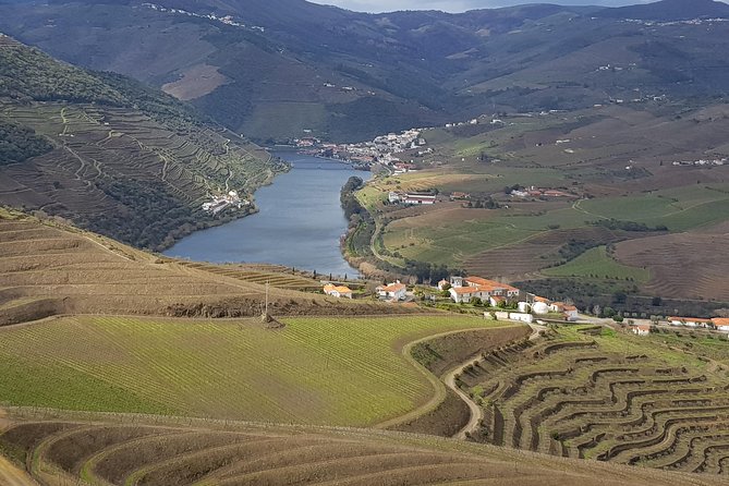 Douro Valley Tour: 2 Vineyard Visits, River Cruise, Winery Lunch - Key things that make this Douro day feel worth it