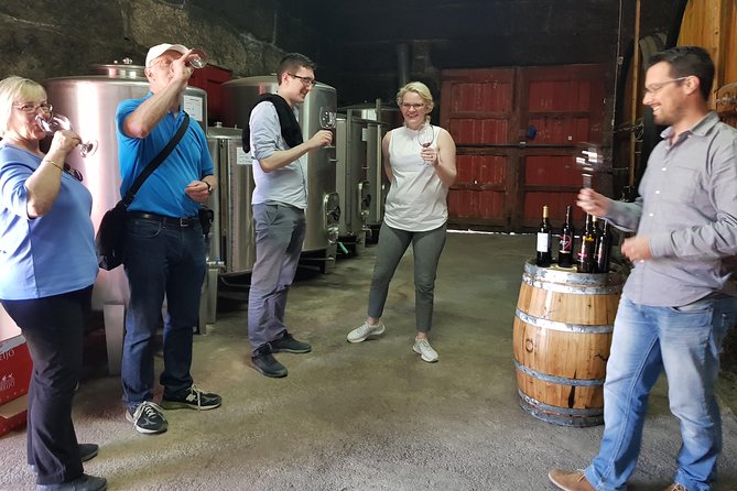 Douro Valley Tour: 2 Vineyard Visits, River Cruise, Winery Lunch - Stop 1 near Lamego: a family vineyard tasting with terraced views