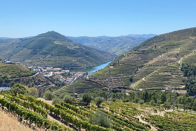 Douro Valley Tour - 3 Wine tastings, Lunch & river Cruise - Pinhão options: Rabelo boat cruise or a calm riverside walk
