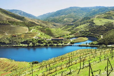 Douro Valley Tour: Visit 2 Wineries, Lunch & River Cruise - The N222 drive: viewpoints, photo stops, and why the timing matters