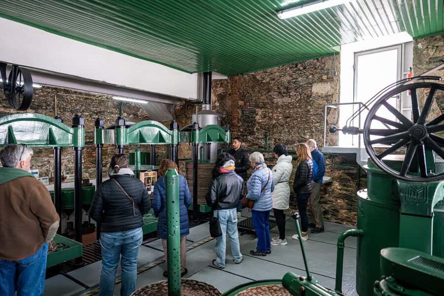 Douro Valley Tour: Visit 2 Wineries, Lunch & River Cruise - Comfort and logistics: long day, small group, and what to bring