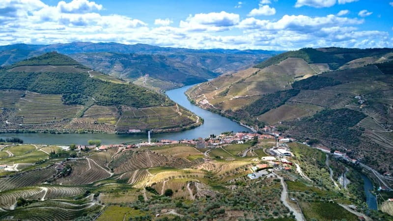 Douro Valley Tour: Visit 2 Wineries, Lunch & River Cruise - Value for money: why $116 works for a one-day Douro hit