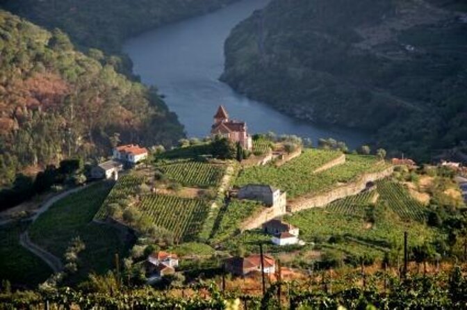Douro Valley Tour: Wine Tasting River Cruise and Lunch from Porto - Key Things to Know Before You Go