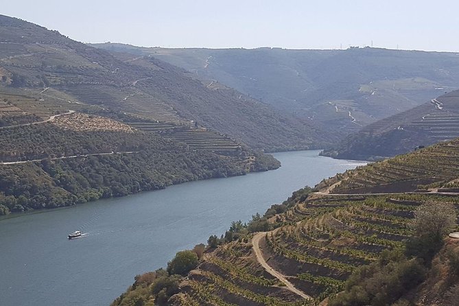 Douro Valley Tour: Wine Tasting River Cruise and Lunch from Porto - From Porto’s Fernandina Wall to the Douro: how the day starts